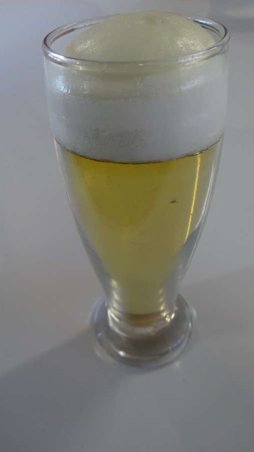 Cerveja no Copo (350ml)