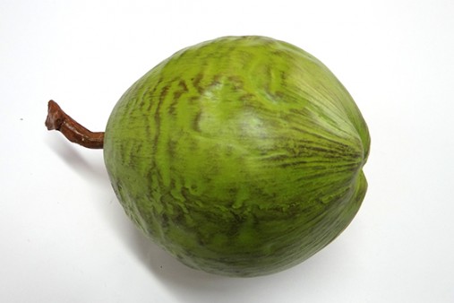 Coco Verde Inteiro
